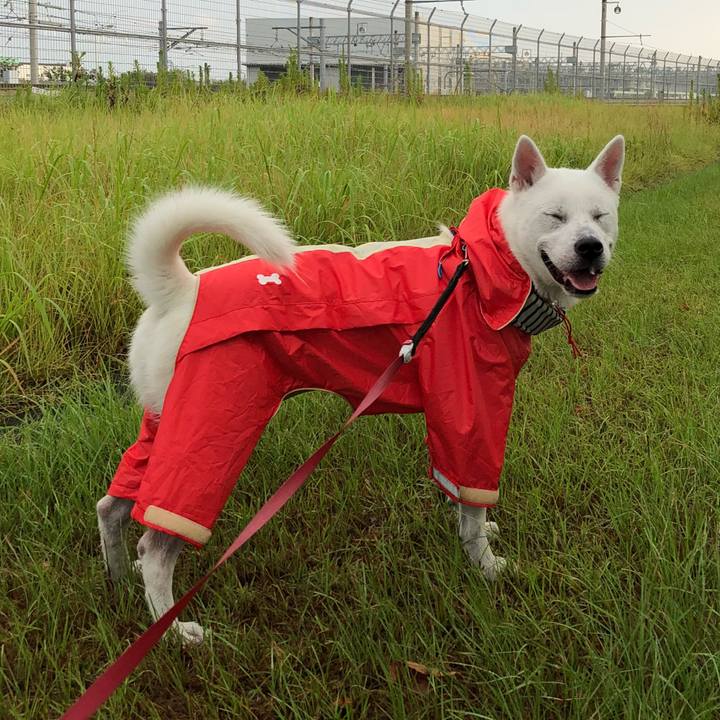 Cce13e17 45e4 4af5 a174 f72cf216db6e 1535149265552