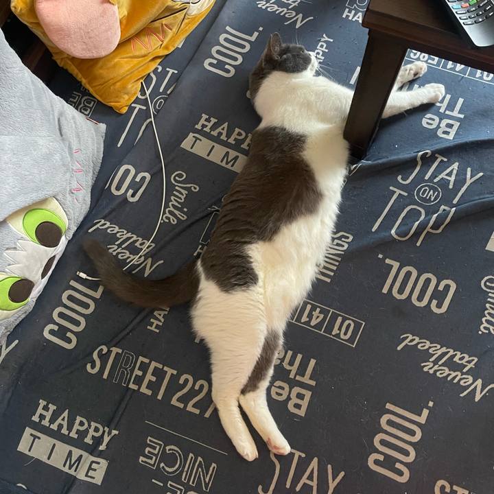 Cce140d9 8c60 4bb7 bdb9 2c7e306de784 1750143657981