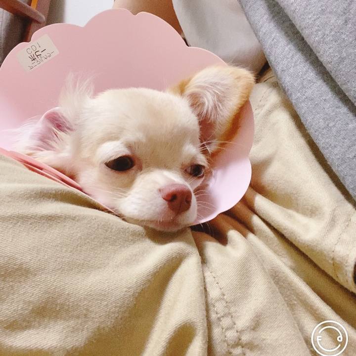 Cce146b4 2eed 445c 8e0c f7534af7418c 1598771682074