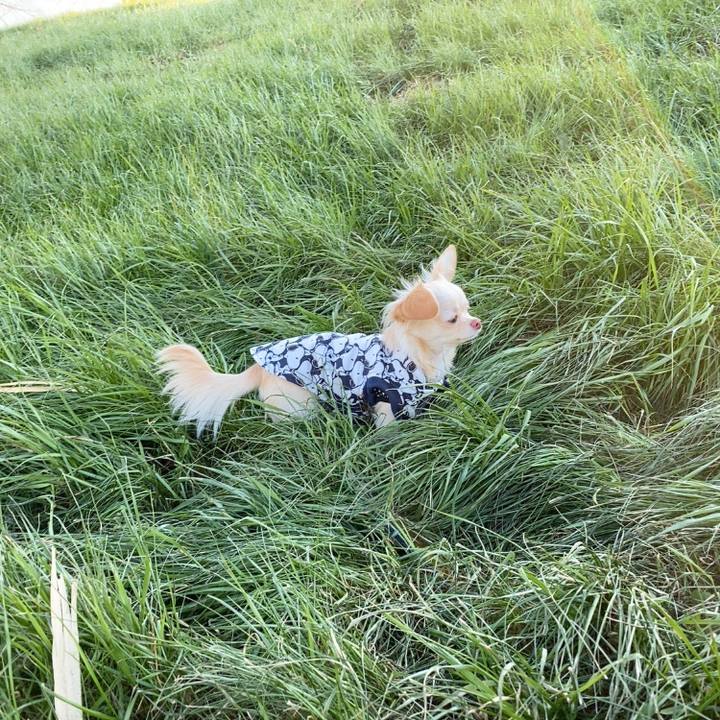 Cce16e81 8943 46d4 9a6e 5bb7c9ed2733 1608622136610