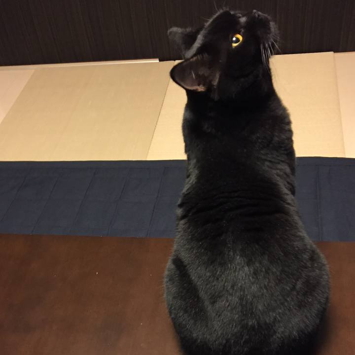 Cce17a1c 44dd 4c1e 8e75 49ca407cd8be 1512044510129