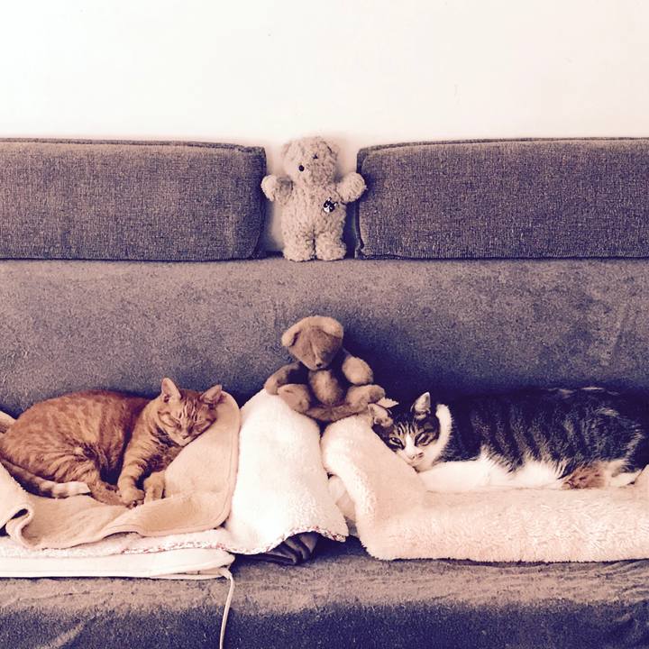 Cce17b69 f02a 4fc3 be72 ed1e5a40da0e 1604199886423