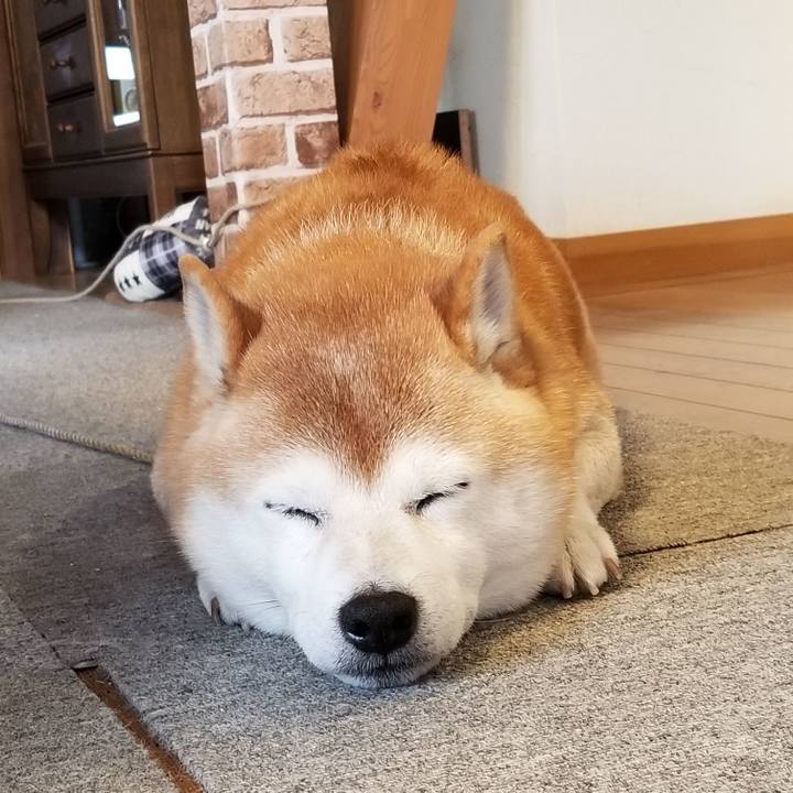 Cce17d88 18b9 4a10 bb82 af7da212a48c 1666738886191