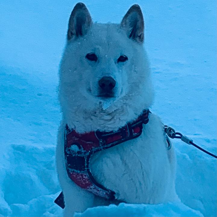 Cce17fe3 3f6d 428b a482 ccffe74ce00f 1641427029421