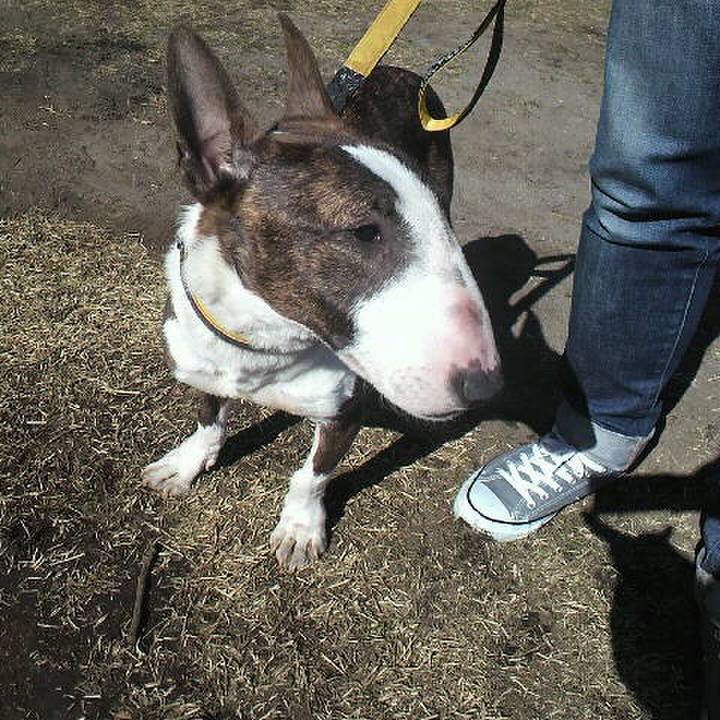 Cce2173e 93bd 4337 9351 1be5726bdaab 1581398439402