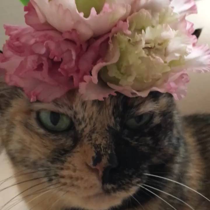 Cce27232 a390 46bd 9e3f 2ec82f4e4e89 1730463363069