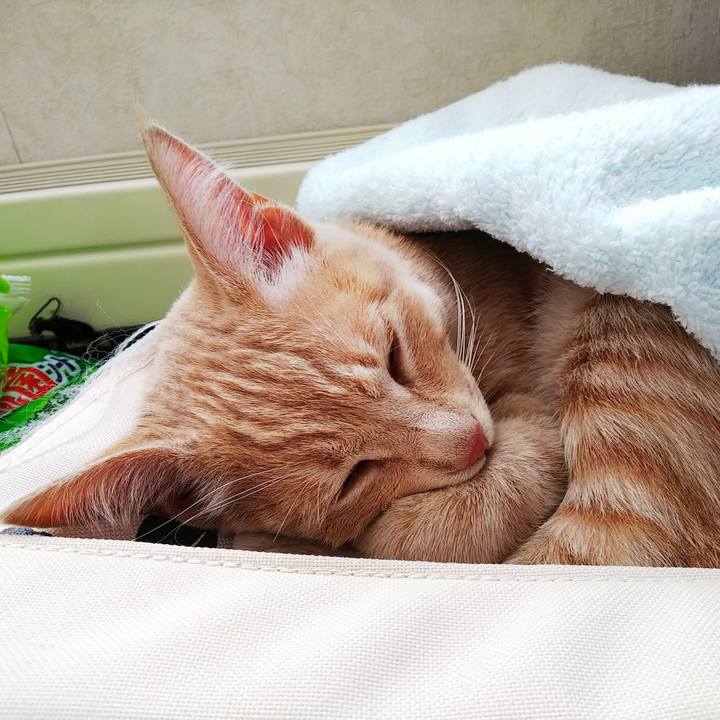 Cce28844 71ef 40a2 b072 570fa2525630 1544924654149