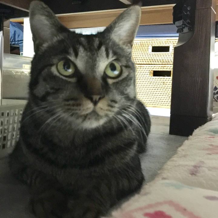 Cce2bcda 9bc8 461e 89e0 e07f8e864787 1525258730074