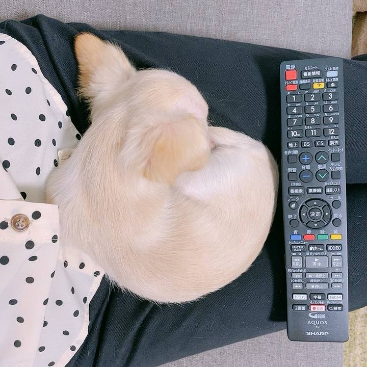 Cce303de 3ca0 4e82 bc34 cddec6a9ab6b 1593056348298