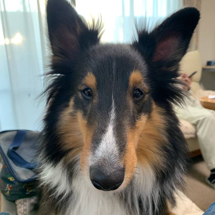 Cce3080b 4937 4830 b041 81e9283c2c9d 1578349912316