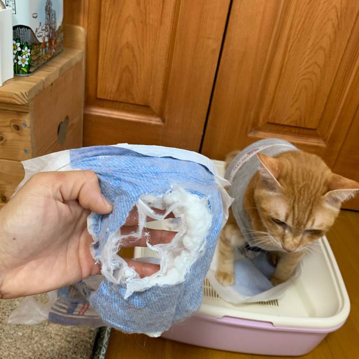 Cce30eba 9cf8 44a6 90c2 a693ae022aeb 1633039433423