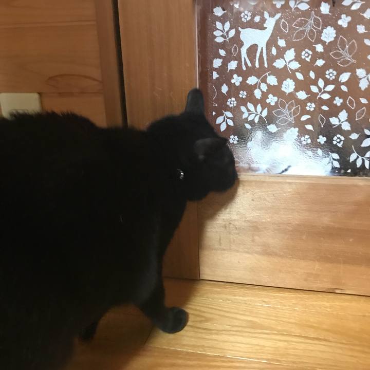 Cce3427e 2325 4f7f b31d 231aefa019d6 1514333890736