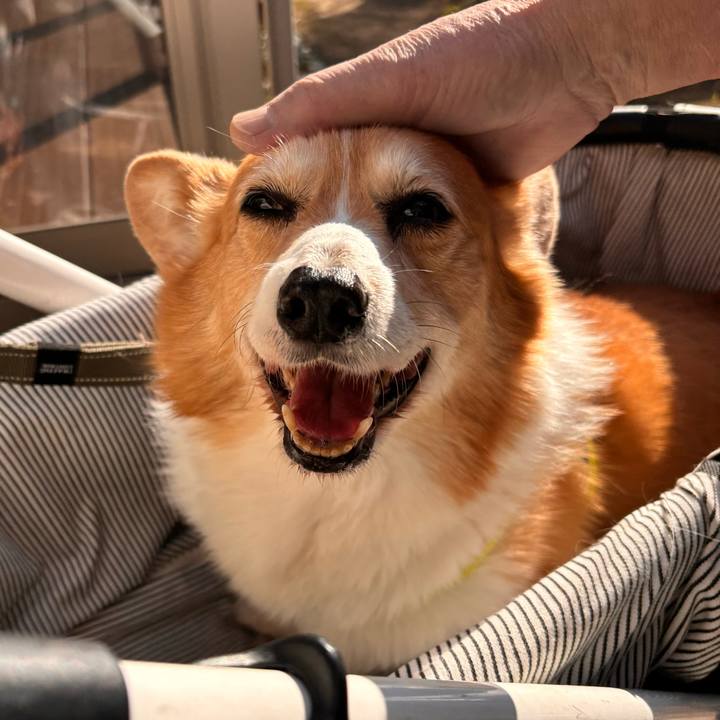 Cce355de d4fe 455a 876e 2d44152769e9 1768266595034