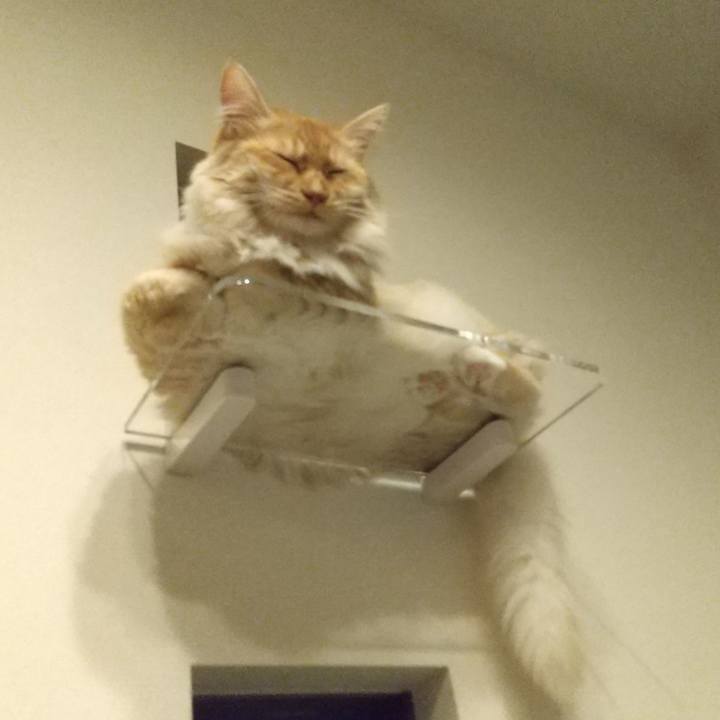 Cce385f1 3f6b 4d1b 9d7d 0fb053e07c8e 1626793455162