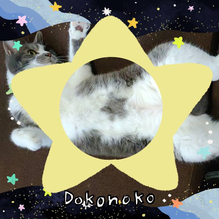 Cce38b41 3ee6 4019 b28a 7a1963f984cd 1721211781025