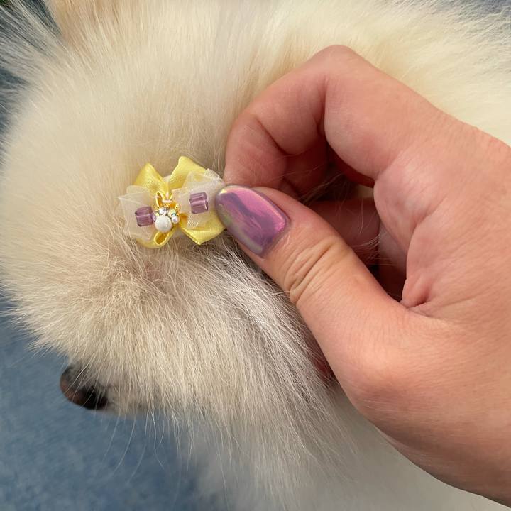 Cce3a9c5 7cfd 4c97 8685 f828963c7373 1621224602393