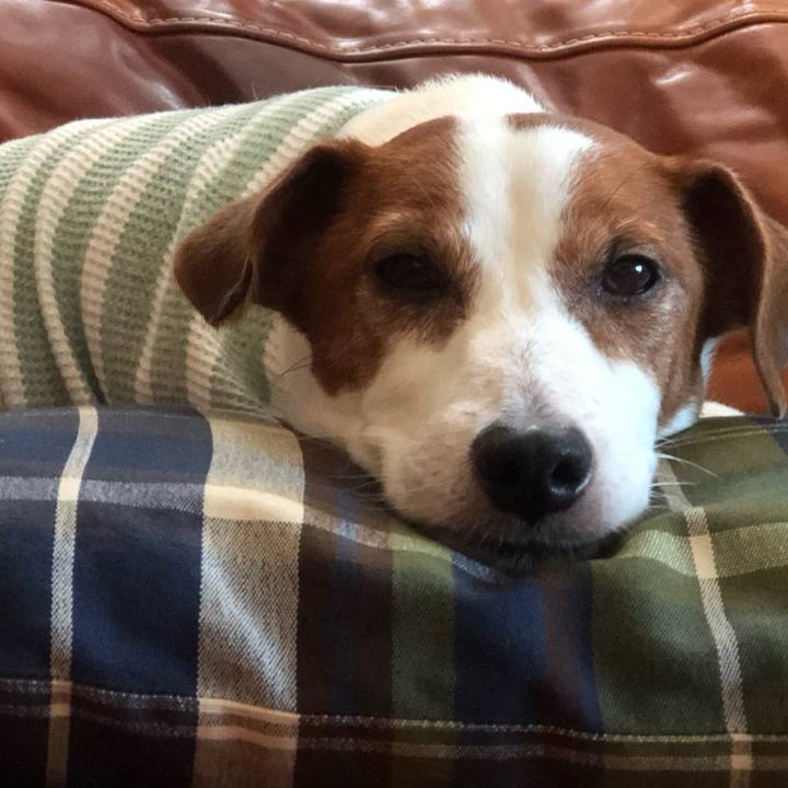 Cce3b193 ecc2 4dcc 9459 e0bd133bb06f 1696294807179