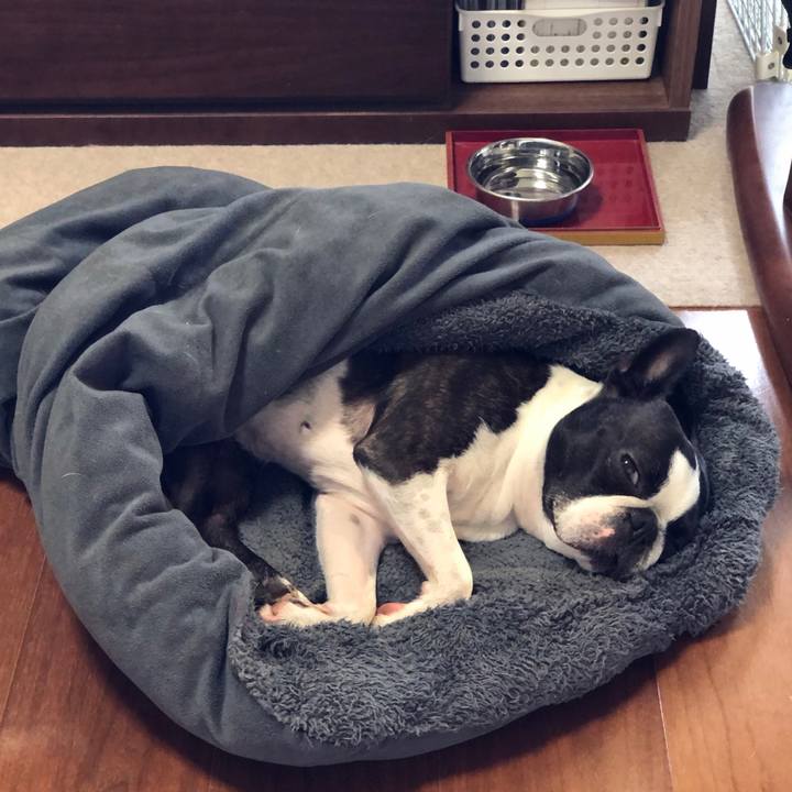 Cce3e886 d75f 488b b2d6 7f5788c1ea1b 1685147582213