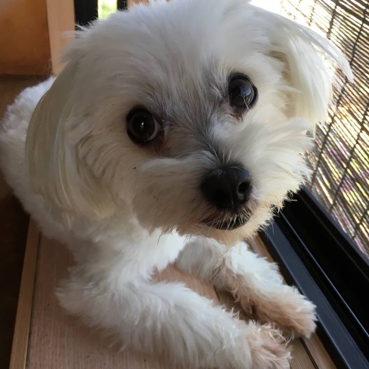 Cce3e966 4fef 45db 9e45 00c06df60b8f 1533359902289