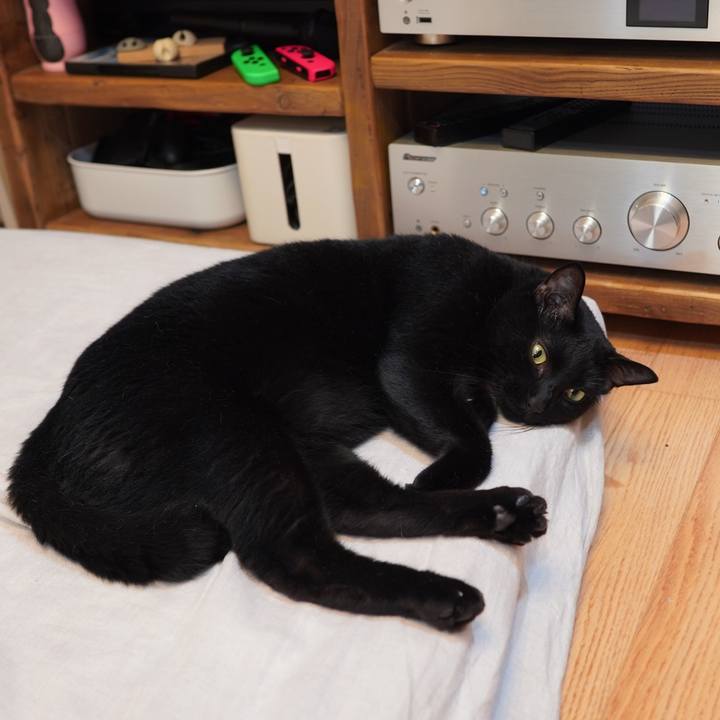 Cce45c6c b764 466f 9168 193f5314f825 1597065169166