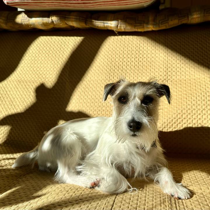 Cce46582 344a 4e43 a093 249186bc35ef 1704763636383