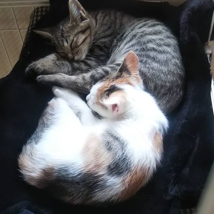 Cce4ae48 4a2f 491e 9a38 93ad4a3a0a16 1641870580986