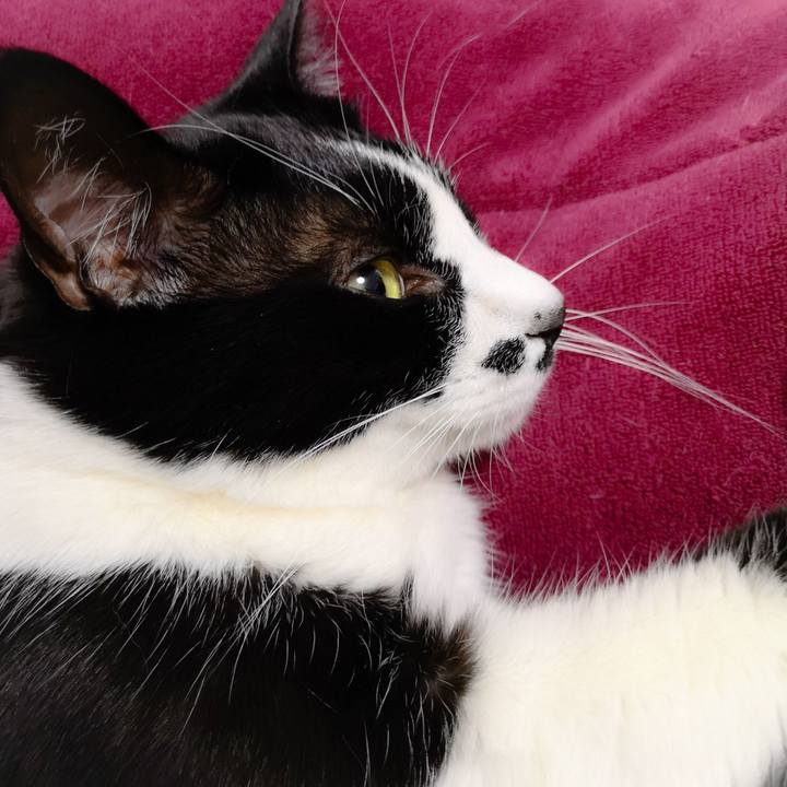 Cce4c7d2 9cd9 4c6a 8bb6 058fd425f0dd 1550840216763