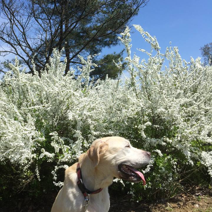 Cce532c4 5e55 4b7e a0a0 c9635961e36f 1553686977685