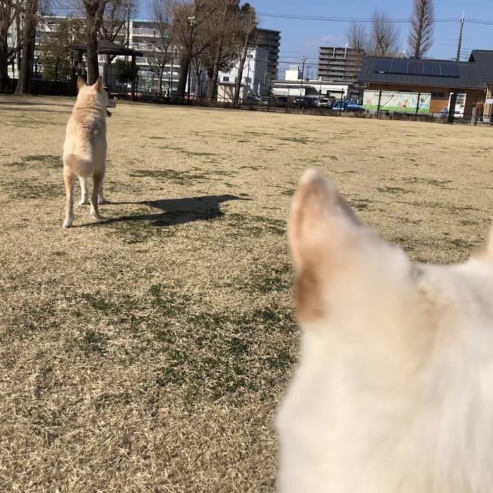 Cce5427f f9e6 4a69 b5ef d9b3a8896f7c 1519976470494