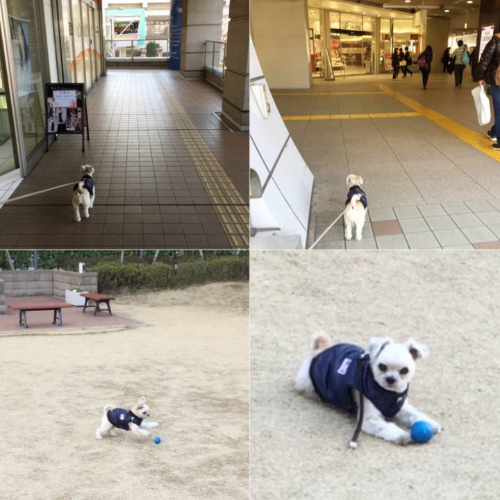 Cce5592b b84d 469e b02a c430b429d9f7 1550828329332