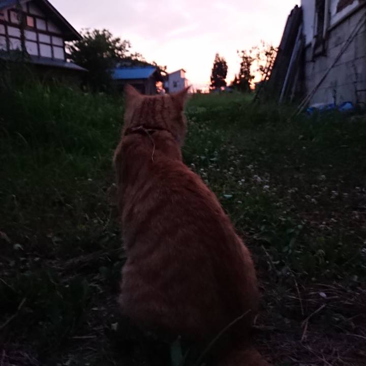 Cce5c334 c7de 4a28 818b 60cdc4df49b6 1565172588774