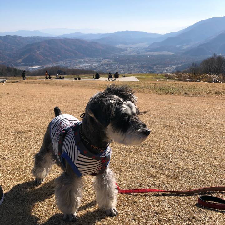 Cce5d9eb 3462 4ece 8b6b 12bd445fa52c 1668256433727