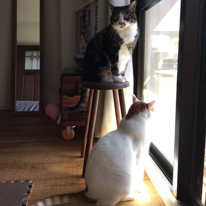 Cce60cfb fb28 4401 889e 2604c47a1dbf 1520664349280