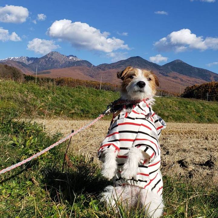 Cce61c9c 4370 4d9d 874e e5d5522430d7 1636090507672