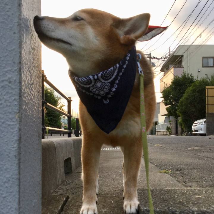 Cce63d52 538a 4a61 9198 612b5bf4c387 1565517453870