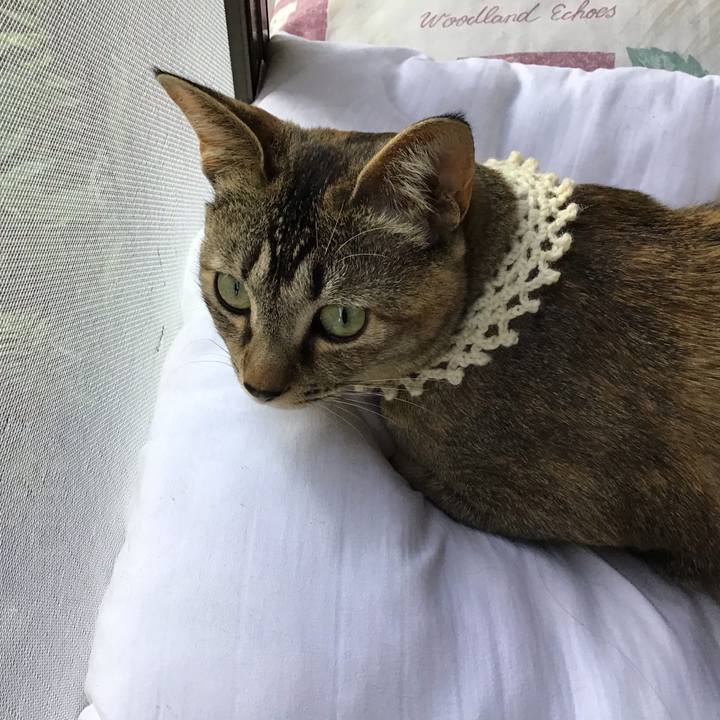 Cce67362 58c0 4140 bdc2 f149ab502ea5 1589445430555