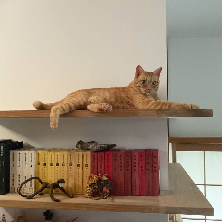 Cce6ae14 64e0 42e3 8a0e 6809990b23f1 1655696168942