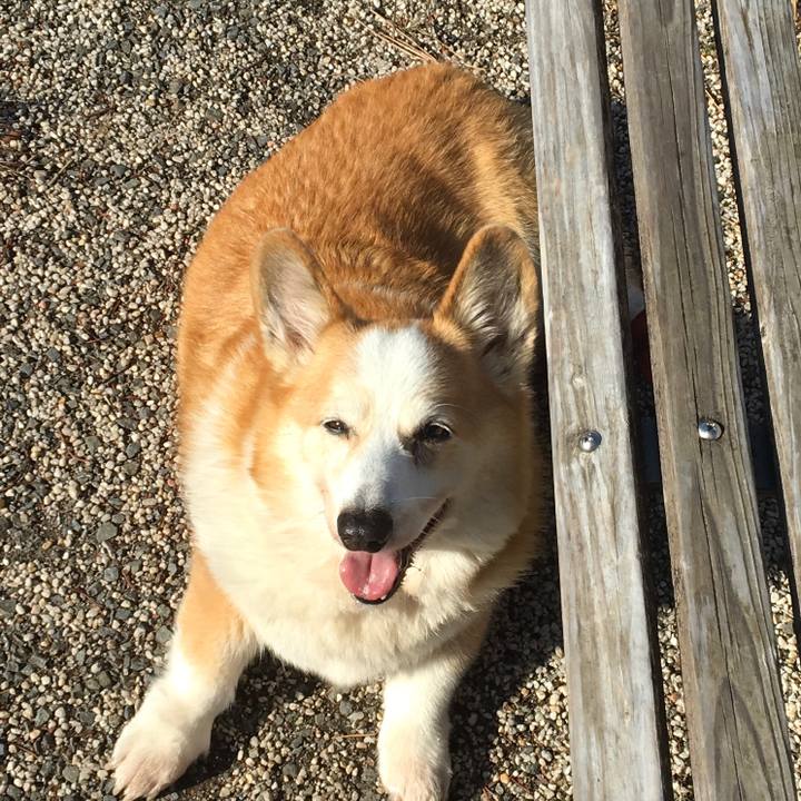 Cce6aee1 69bf 4d1a b2af 2c5963e32711 1608381370916