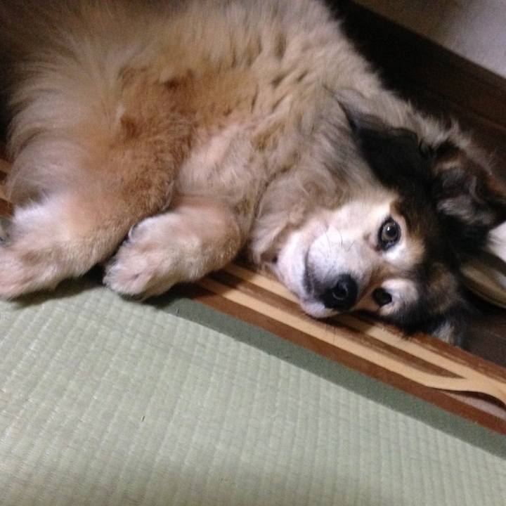 Cce6c1e1 60fb 4421 9bee 3b8a9fa1eac8 1622699462544