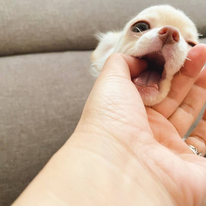 Cce6c3fd 206b 4103 b36d c44745bb258a 1591418730058