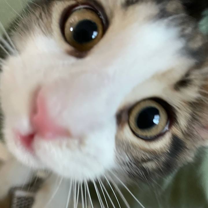 Cce6d95b 664b 4511 988f d4f2a3ceea67 1632018759979