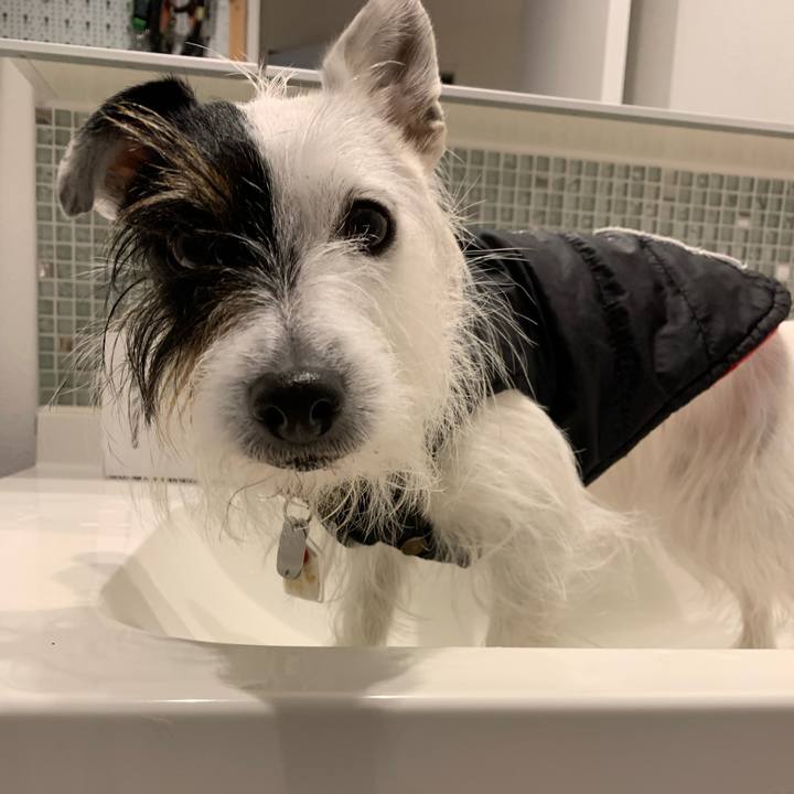 Cce6f105 b007 4952 9627 36a1711c4da8 1676246802560