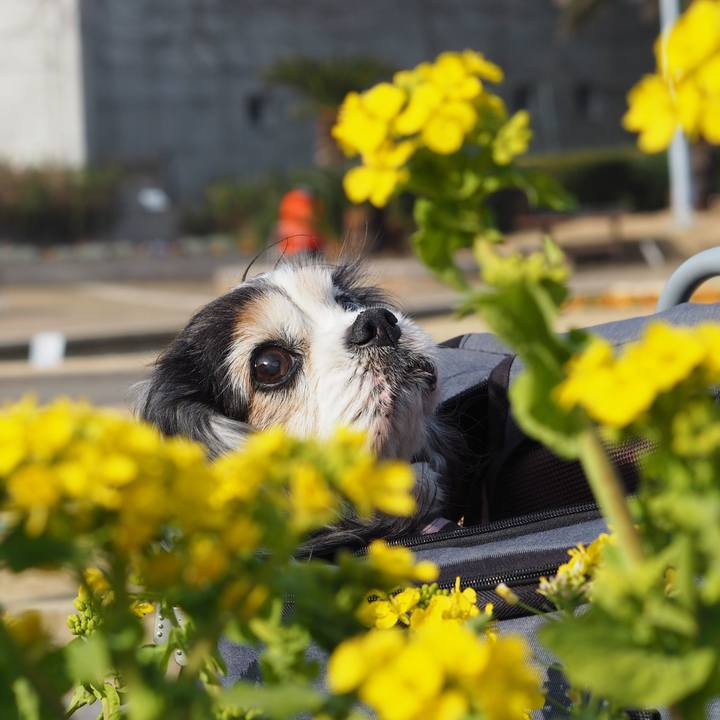 Cce6fa6a 516d 4b90 8c65 f1cc4e18bc21 1613206981501