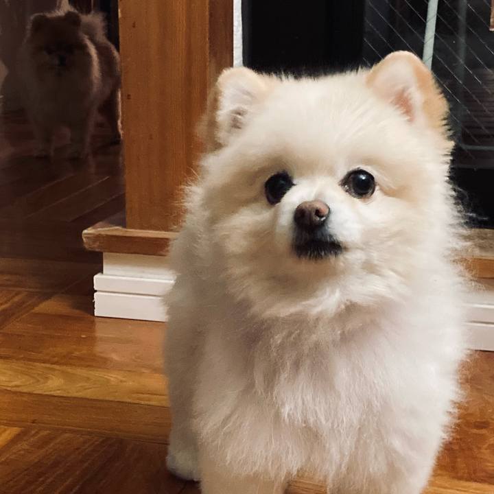 Cce71329 3c9d 4b5b a269 dfb9dde023c3 1773485703536