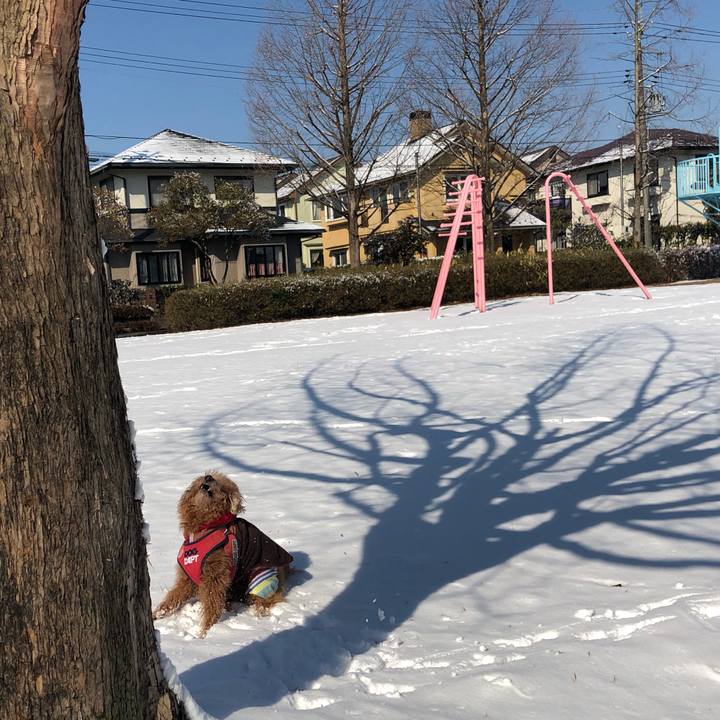 Cce72cbe 4814 4d8e 9e25 c1877e87f73b 1644574534383