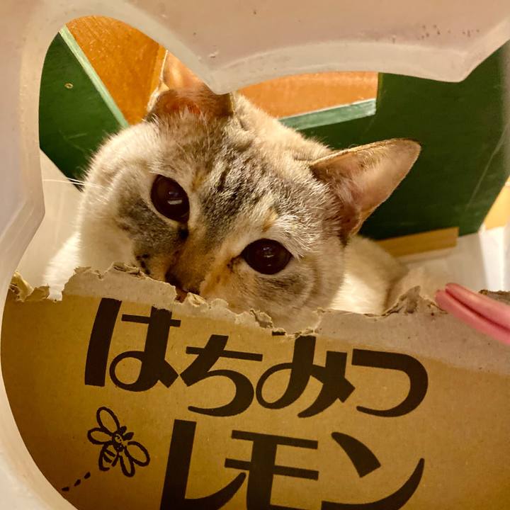 Cce75bcf 1f9f 4144 b6f6 c8427a4bc63d 1706136686312