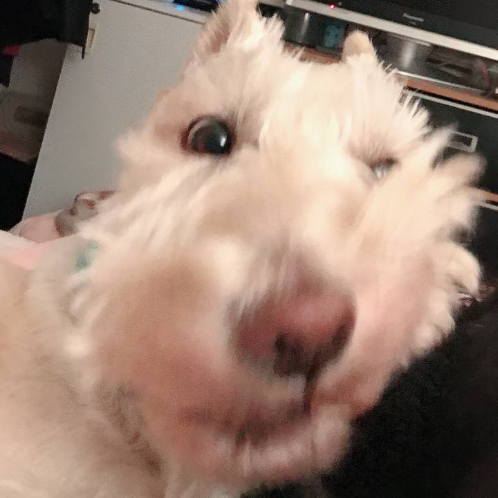 Cce7a9d0 add8 435a bb68 d5f0db4508c5 1544795670018