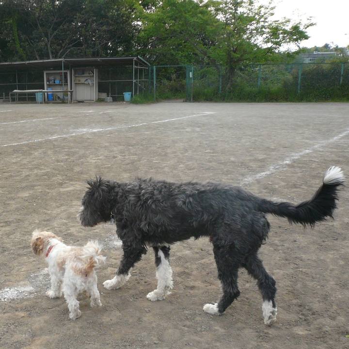 Cce7afb5 3531 4cbc 86f5 c323adf23304 1520328363951