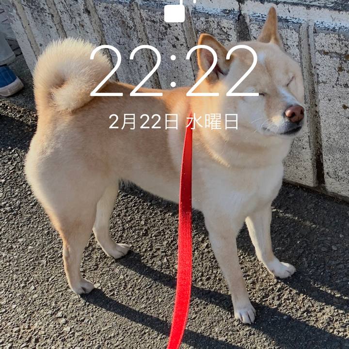 Cce7c454 be1e 4748 bf1b 6c17d822e5e8 1677105878449