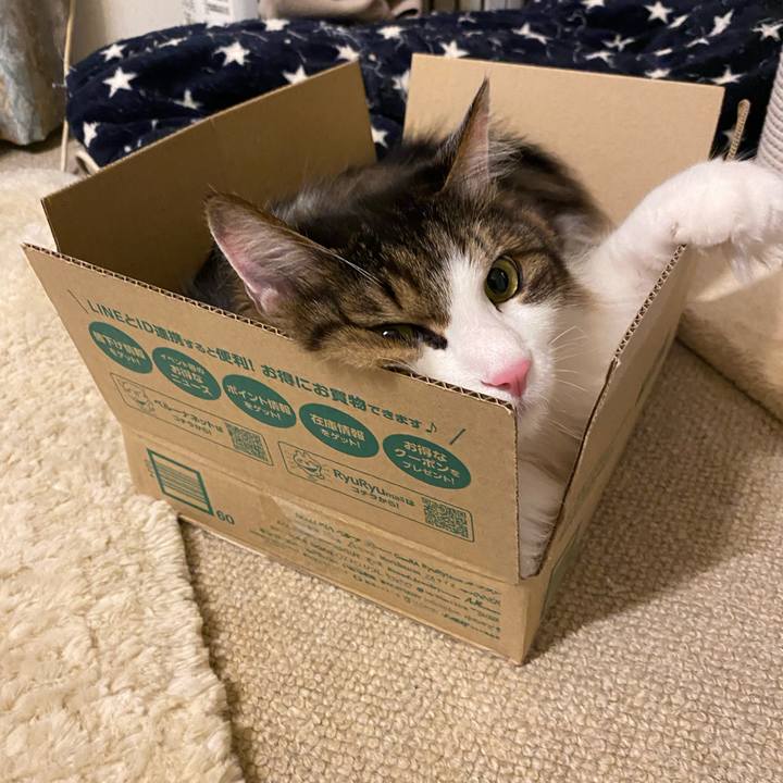 Cce7e920 8be3 4ece b335 5b9c47822868 1668643642937